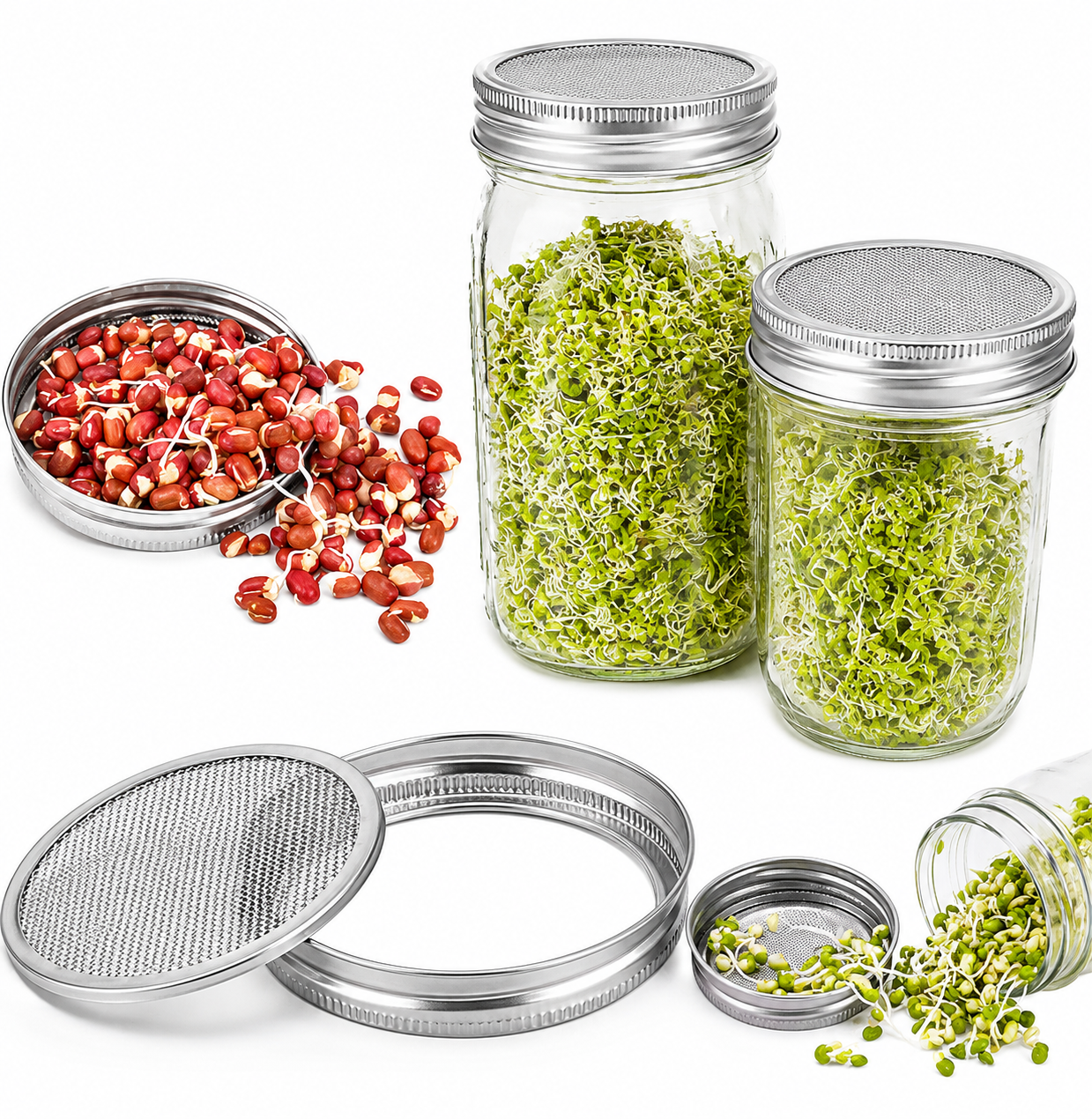 Keimset mit Sprossengläsern & Edelstahl-Siebdeckel – Wide Mouth Mason Jar Set für die Innenanzucht