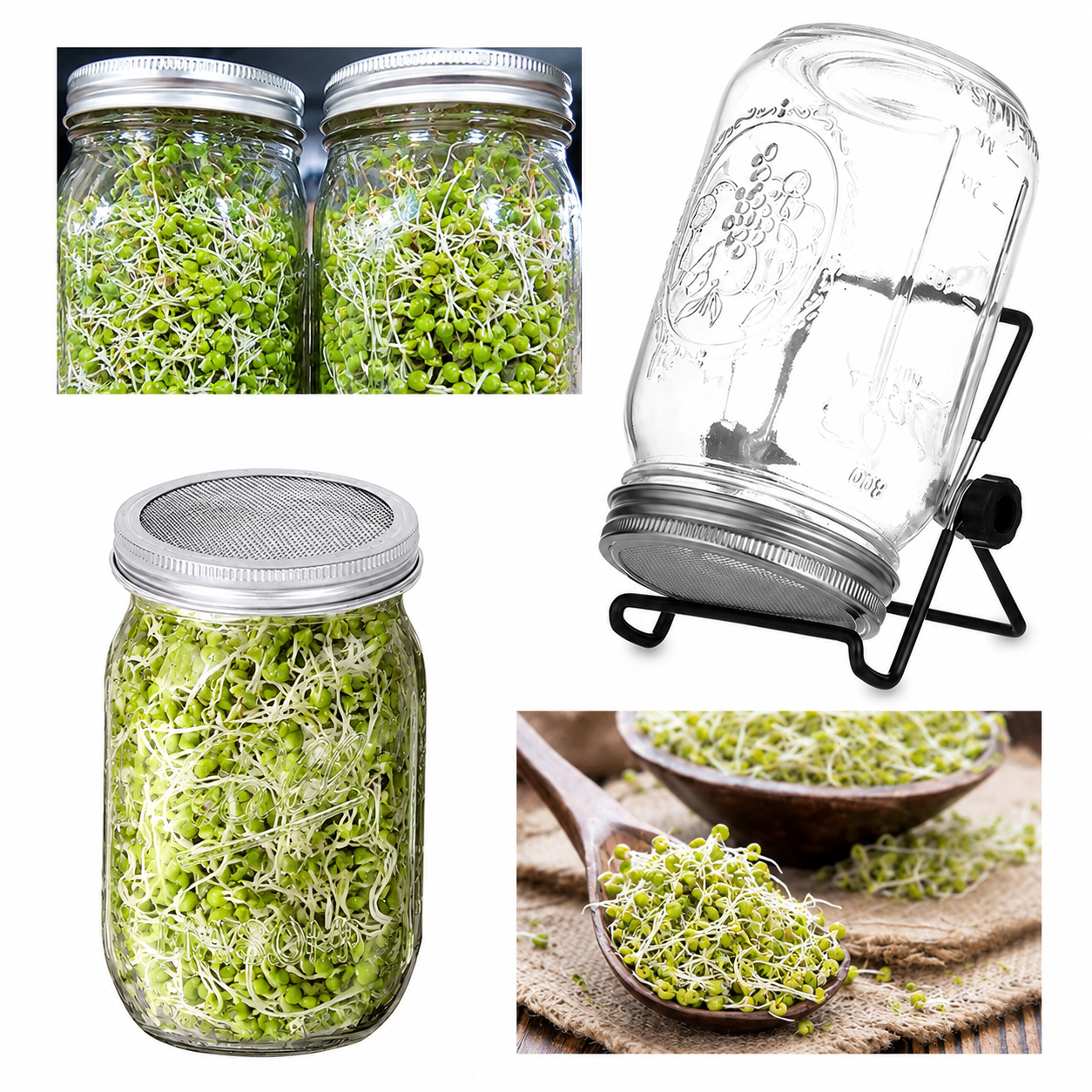 Keimset mit Sprossengläsern & Edelstahl-Siebdeckel – Wide Mouth Mason Jar Set für die Innenanzucht